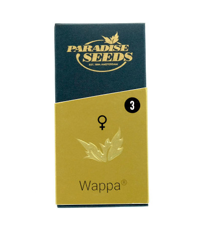 Семена сорта Wappa fem (Paradise Seeds)