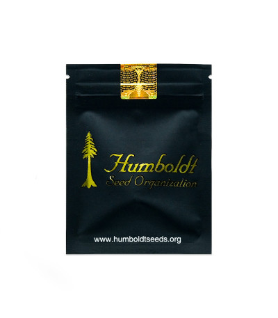 Семена сорта Florida Gaspack fem (Humboldt Seed Organization)