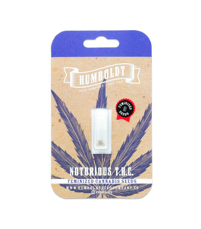 Семена сорта Notorious THC fem (Humboldt Seed Company)