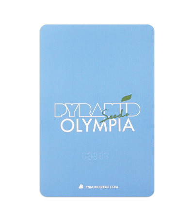 Семена сорта Olympia fem (Pyramid Seeds)