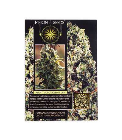 Семена сорта Amnesia Haze Auto Fem (Vision Seeds)