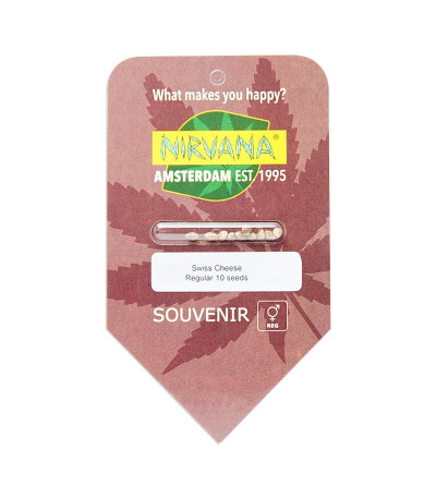 Семена сорта Swiss Cheese regular