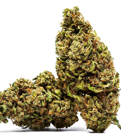 Семена сорта Cannatonic reg (Resin Seeds)