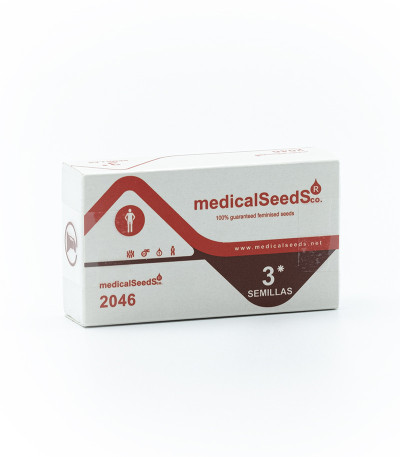 Семена сорта 2046 fem