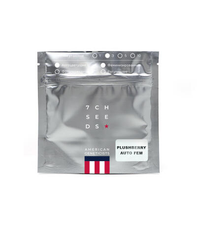 Семена сорта Plushberry Auto fem (7CH American)