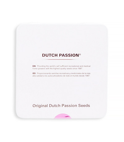 Упаковка семян Auto Glueberry O.G.