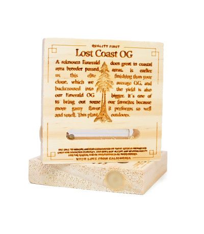 Семена сорта Lost Coast OG fem (Humboldt Seeds)