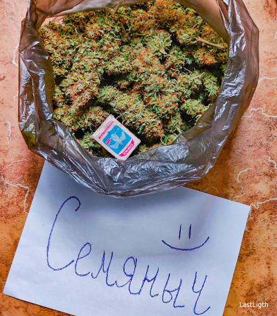 Семена сорта Astral fem (Семяныч)