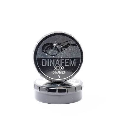 Семена сорта Dinamex fem