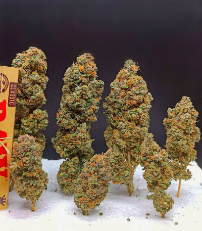 Семена сорта Blueberry Hill fem (Herbies Seeds)