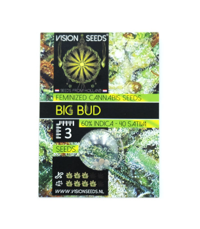 Семена сорта Big Bud fem (Vision Seeds)