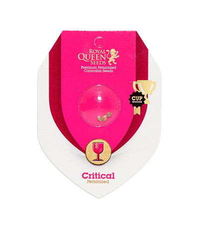 Семена сорта Critical fem (Royal Queen Seeds)