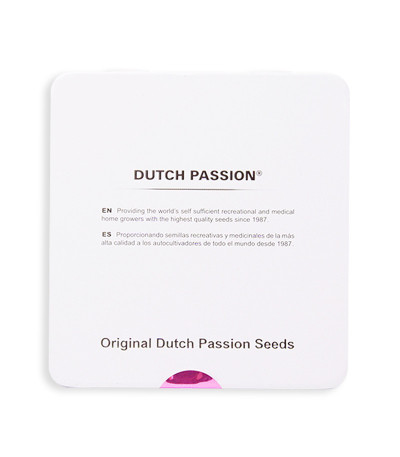 Семена сорта Auto Power Plant (Dutch Passion)