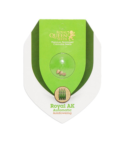 Семена сорта Royal AK Automatic fem (Royal Queen Seeds)