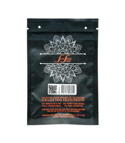 Семена сорта Shot Adrenaline Auto fem (Samsara Seeds)