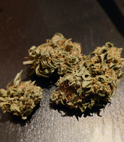 Семена сорта Banana Purp fem (Medical Seeds)