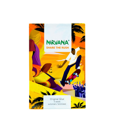 Семена сорта Original Glue Auto fem (Nirvana Seeds)