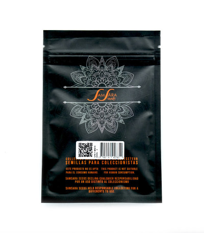 Семена сорта Spicy White Devil fem (Samsara Seeds)