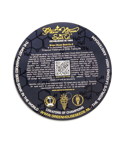 Семена сорта White Rhino fem (Green House Seeds)