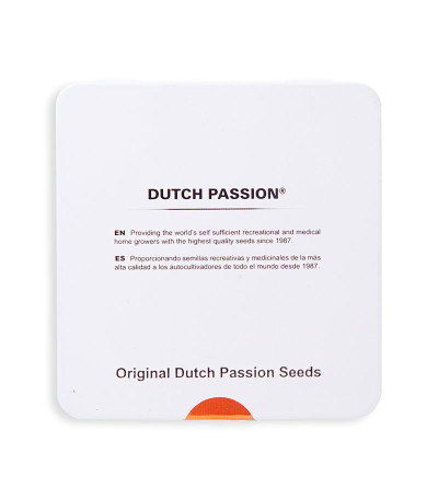 Купить семена конопли Desfrán в оригинальной упаковке