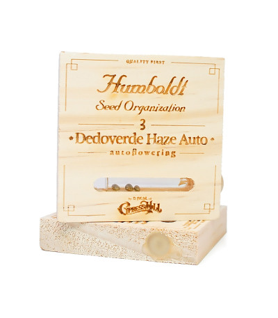 Семена сорта Dr Greenthumb’s Dedoverde Haze Auto fem