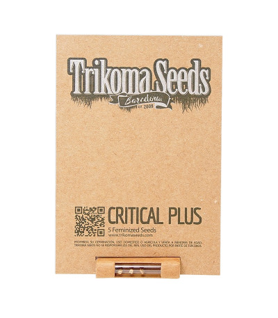 Семена сорта Critical Plus fem (Trikoma Seeds)