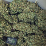 cbd-auto-20:1-fem-fastbuds.jpg
