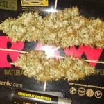 wedding-cake-auto-fem-barneys-farm.jpg