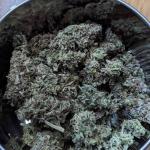 pineapple-express-auto-fem-barneys-farm.jpg