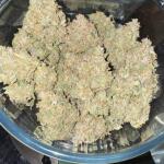 strawberry-pie-auto-fem-fastbuds.jpg