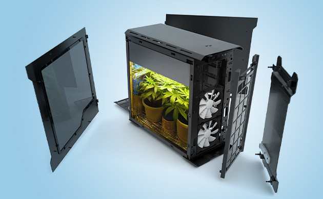 Стелс-гровинг Развитие навыков стелс-гровинга