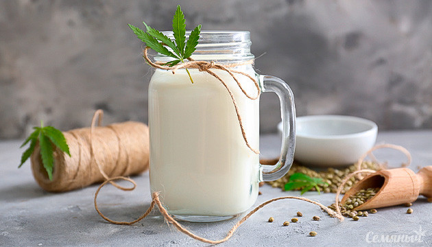 Рецепт конопляного молока Баночка молока из семян конопли