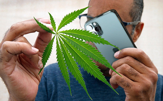 Ведение каннаблога Станьте канна-блогером